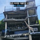 게코빌리지 | 🐾청주 아이랑 가볼만한 곳 실내동물원! 애니멀빌리지 솔직후기 (귀여운 움짤위주)