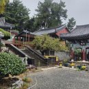 용적사 독성도 이미지