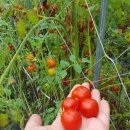 진희농장 이미지