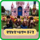 예쁜삼성어린이집 이미지