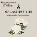 광주세종 | 전주 익산 김제 고독사 청소 후기 광주 대전 세종 천안 고독사 청소