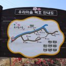 복사꽃마을 이미지