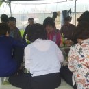 영호농장 이미지