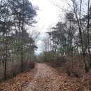 고산터널 등산로 이미지