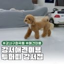투퍼피 이미지
