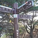 대전둘레산길(4구간) | 대전둘레산길 제4구간(식장산길)