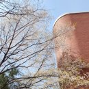 수원대학교 박물관 이미지