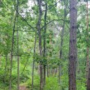 계명산자연휴양림 이미지