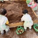 포시즌농장 이미지