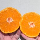 반성농산 이미지