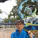 씨월드 (Sea World in Orland, FL) 이미지