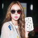 나인독스 이미지