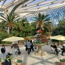 서울식물원 이미지