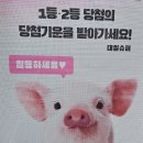 행운슈퍼 | 대전 월평동, 로또 1등 명당, 스포츠토토, 연금복권, 즉석복권, 복권판매점(대일슈퍼)