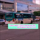 영덕고등학교 후문 이미지