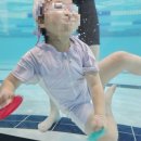 타잔 B&G 어린이 수영장 이미지