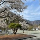 대둔산 캠핑 펜션 이미지