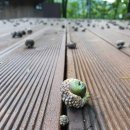 항골계곡야영장 이미지