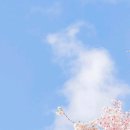 개화2리마을회관 이미지