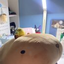 유진카피랜드 이미지