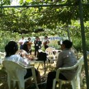 치악농장 이미지