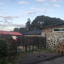 히든래빗 이미지