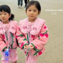 EBS 친구들이 뭉쳤다 이벤져스 라이브 익산 | 대구 어린이 뮤지컬 EBS 이벤져스 라이브 관람 후기