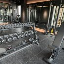 덤벨을들다 | 미아사거리 필라테스 아이르 필라테스&amp;PT 미아점 네번째 수업 후기