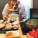 엘룬뷰티