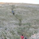 은빛파도 이미지