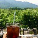 온더밸리 이미지