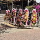 현건축사사무소 | (투자일기) 성북구 돈암동, 동선1구역 신통기획 준비를 위한 주민설명회 후기