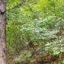 잿골체육공원 이미지