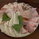 [서울/합정] 두꺼운 회 좋아하는사람 ? 저요 .. | 숙성회 화도 내돈내산 후기 🐟