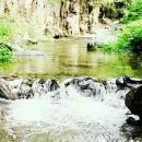 가평블루베리힐 이미지