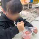 [경북/칠곡] 꿀도 먹고 꿀벌도 보고 달달한 체험하는 곳, 꿀잼농장