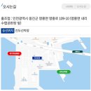 짱구피싱 | 영흥도 광어다운샷 대광어 광따 선상낚시 출조후기 짱구피싱 짱구낚시 강팀호