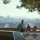 호프마켓