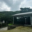신봉1로248번길 | 용인 신봉동 한식 맛집 소채담 진짜 맛있어서 쓰는 솔직 후기 (메뉴 추천, 방문 꿀팁)