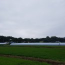 경사로 태양광발전소 이미지