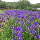 양유리민박 이미지