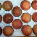 봉화산2농장 이미지