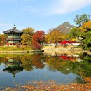 향원정 Daum카페