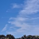 타코마씸