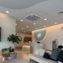 푸른동물병원 | 푸른별안과동물병원 백내장수술후기