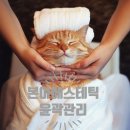 본아에스테틱 | 운정역 피부관리 본아에스테틱 윤곽관리 후기