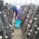 한창농장 이미지