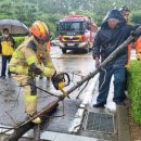 진사주공 이미지