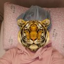 1. [동탄아이희망의원] 인공수정을 지나 시험관 5일 배아 이식, 자궁외 임신, 소파술까지 여정