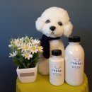 화순고인돌전통시장주차장 이미지